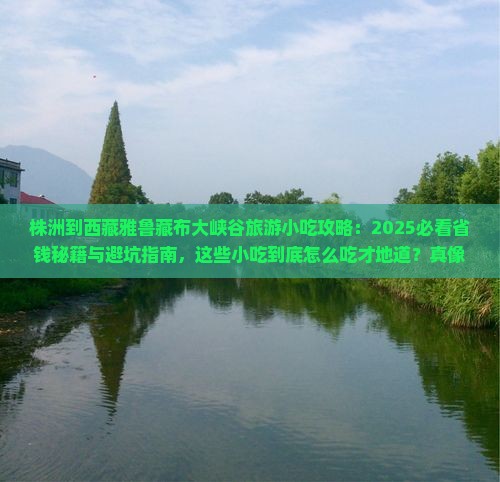 株洲到西藏雅鲁藏布大峡谷旅游小吃