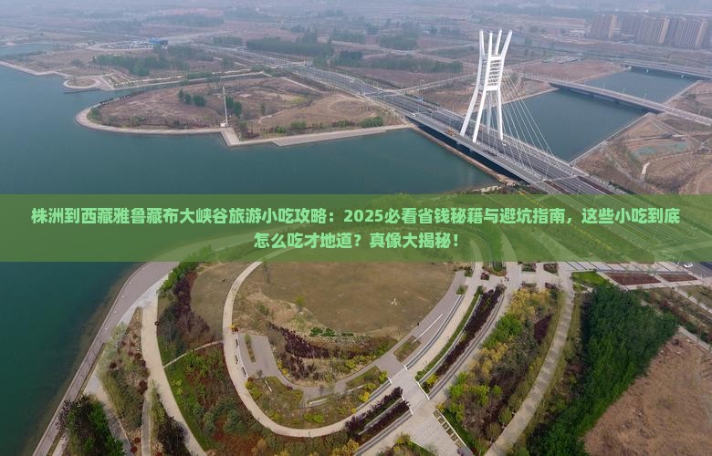 株洲到西藏雅鲁藏布大峡谷旅游小吃