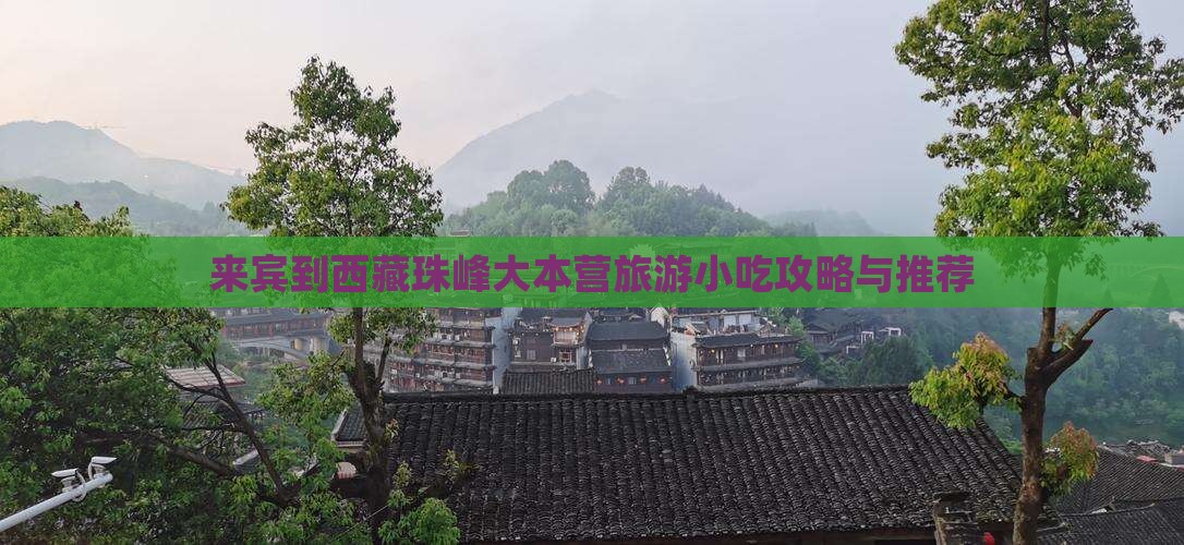 来宾到西藏珠峰大本营旅游小吃