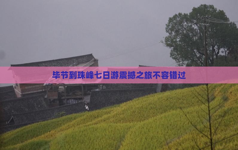 毕节到西藏珠峰大本营七日游