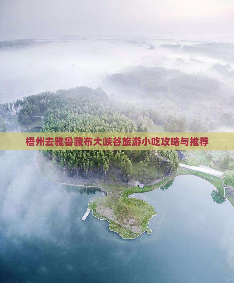 梧州去西藏雅鲁藏布大峡谷旅游小吃