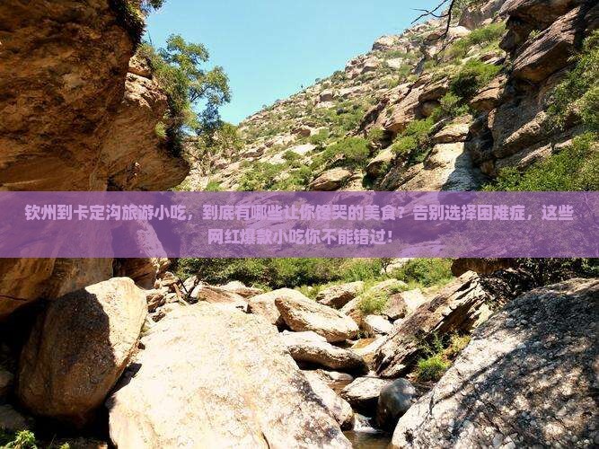 钦州到西藏卡定沟旅游小吃