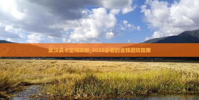 武汉去西藏卡定沟攻略