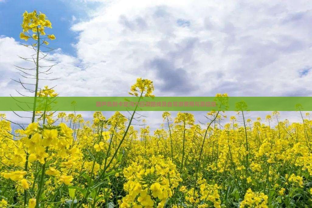 葫芦岛到西藏卡定沟六日游