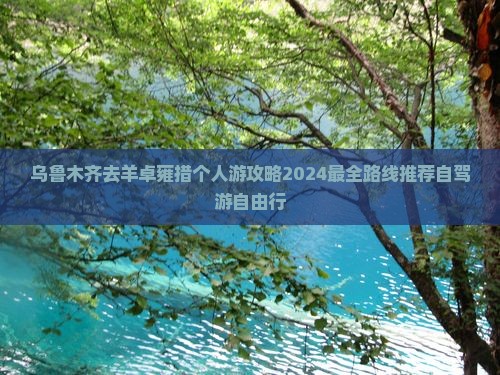 乌鲁木齐去西藏羊卓雍措个人游