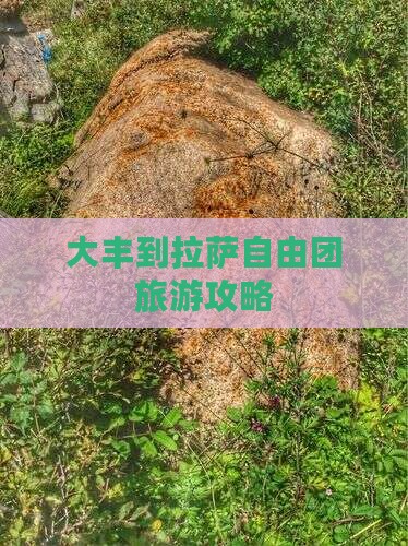 大丰到西藏拉萨自由团