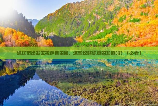 通辽市去西藏拉萨自由团