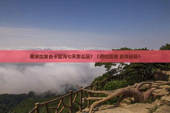 雅安去西藏卡定沟七日游
