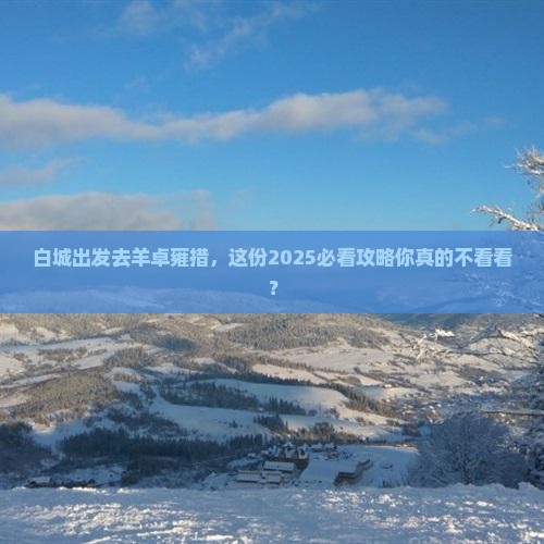 白城去西藏羊卓雍措旅行社