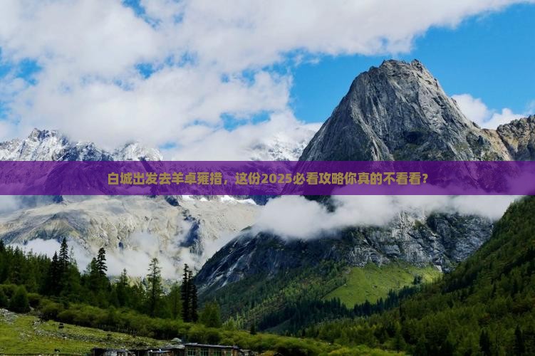 白城去西藏羊卓雍措旅行社