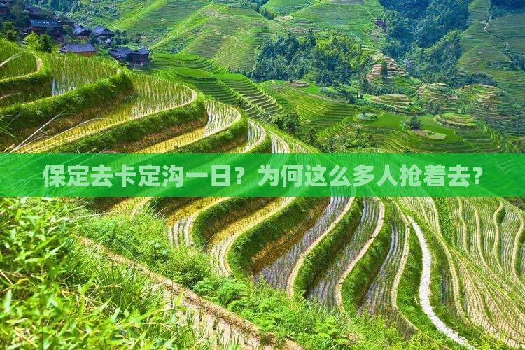 保定去西藏卡定沟一日
