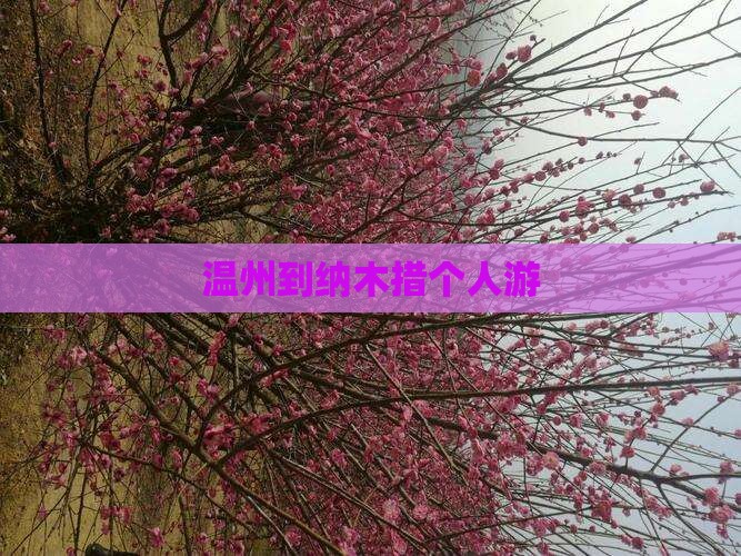 温州到西藏纳木措个人游
