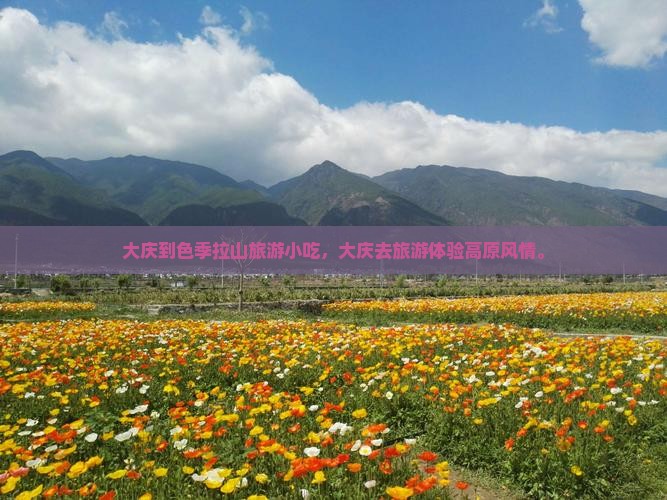 大庆到西藏色季拉山旅游小吃