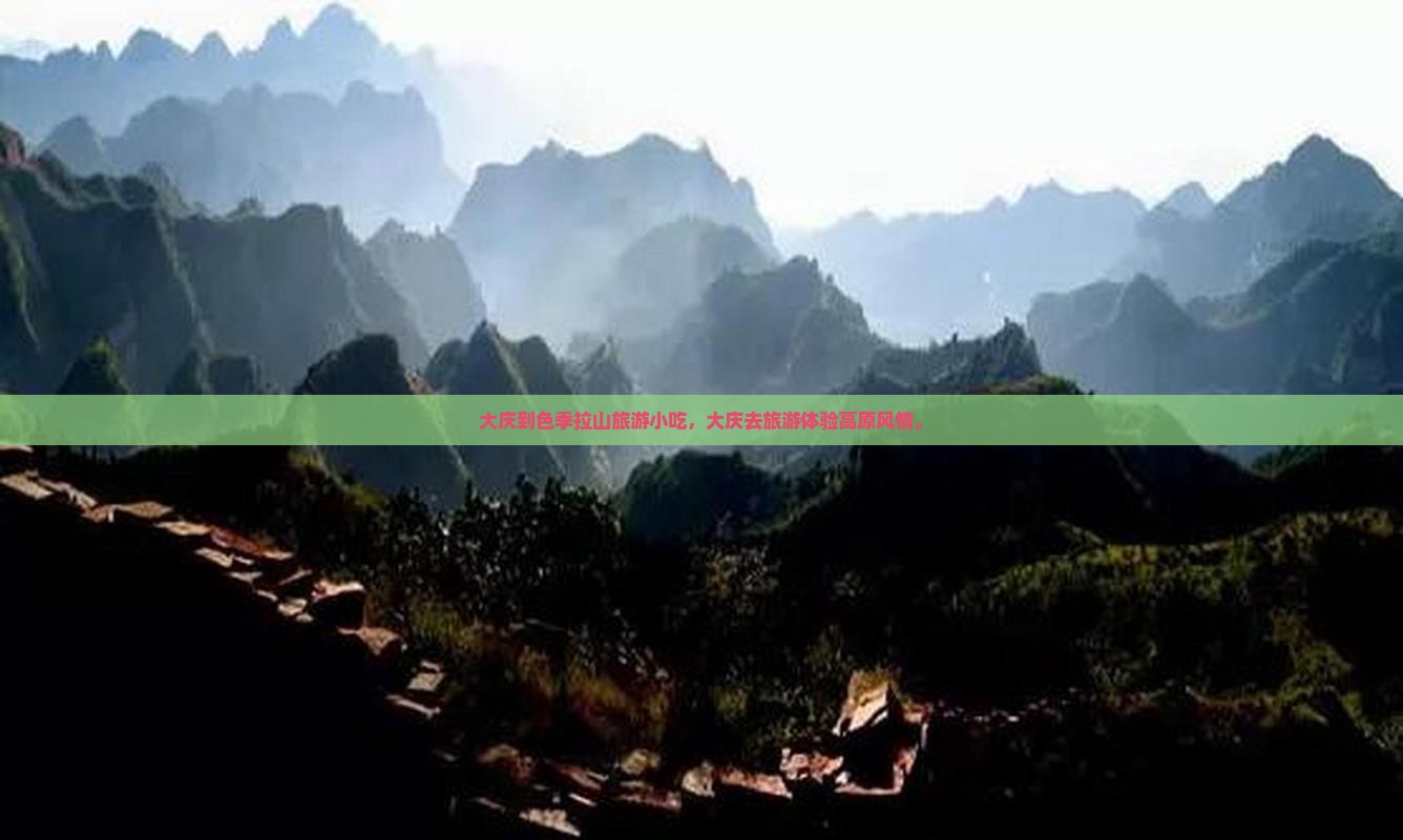 大庆到西藏色季拉山旅游小吃