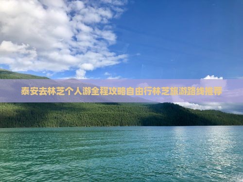 泰安去西藏林芝个人游