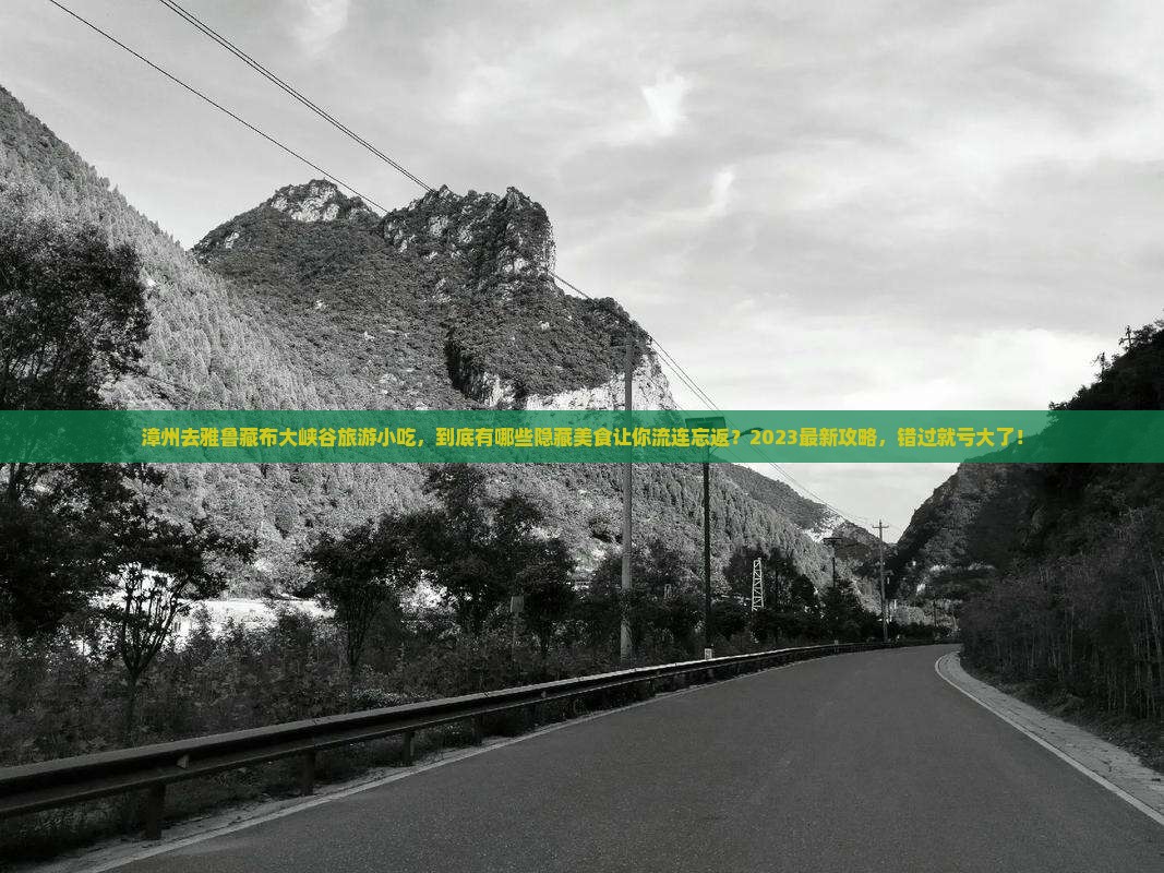 漳州去西藏雅鲁藏布大峡谷旅游小吃