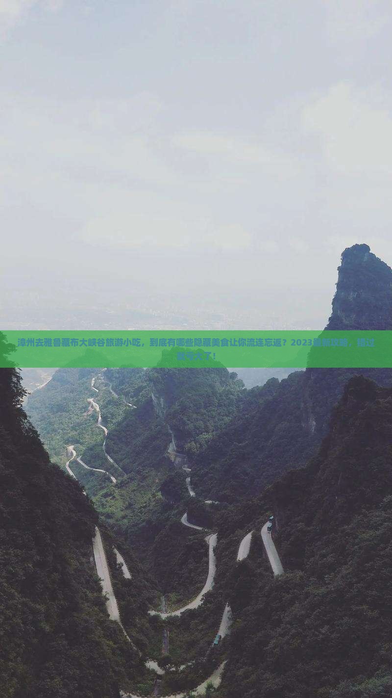 漳州去西藏雅鲁藏布大峡谷旅游小吃