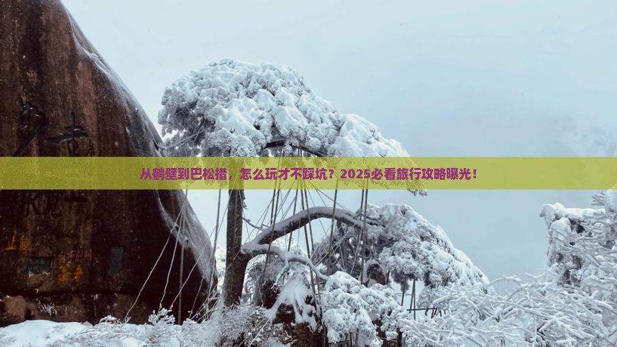 鹤壁到西藏巴松措旅行社