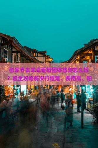 张家界去西藏羊卓雍措团体旅游
