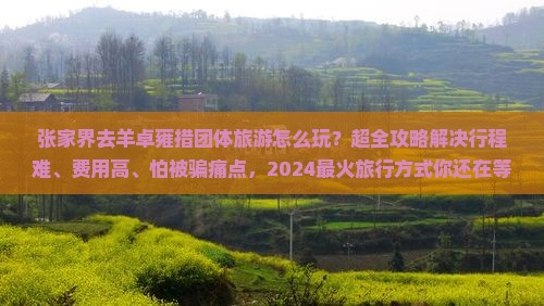 张家界去西藏羊卓雍措团体旅游