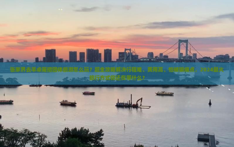 张家界去西藏羊卓雍措团体旅游