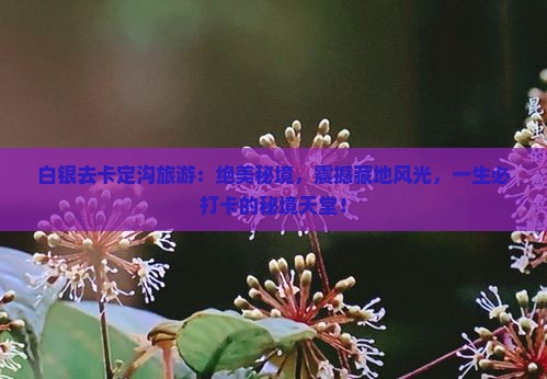 白银去西藏卡定沟旅游