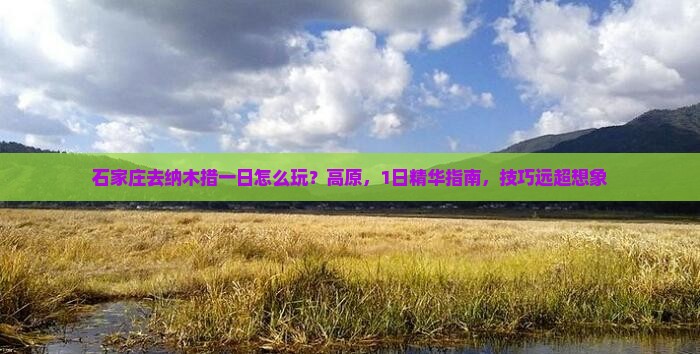 石家庄去西藏纳木措一日