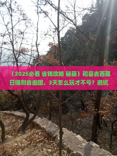 和县去西藏日喀则自由团