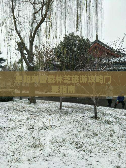 阜阳到西藏林芝门票