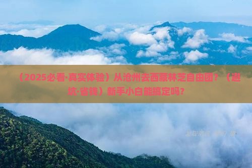 沧州去西藏林芝自由团