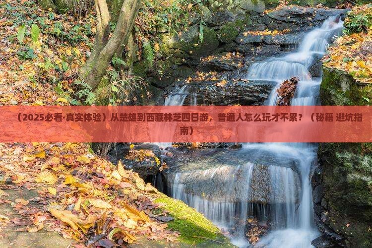 楚雄去西藏林芝四日游