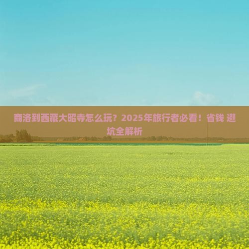 商洛到西藏大昭寺哪里玩
