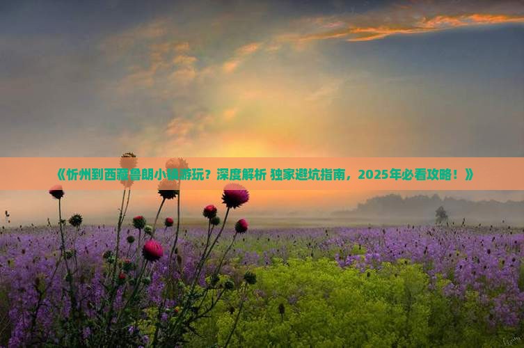 忻州去西藏鲁朗小镇必去地
