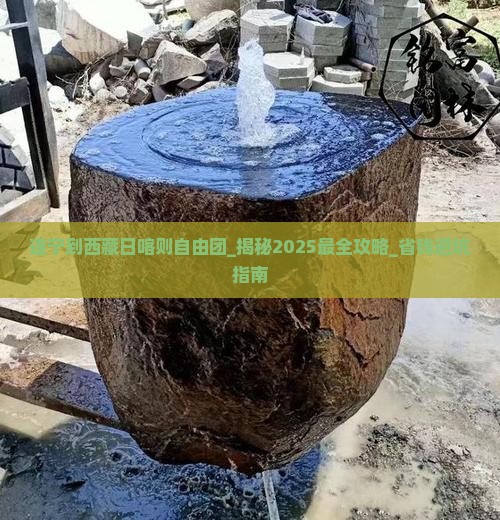 遂宁到西藏日喀则自由团