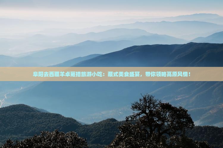 阜阳去西藏羊卓雍措旅游小吃
