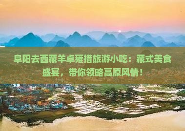 阜阳去西藏羊卓雍措旅游小吃
