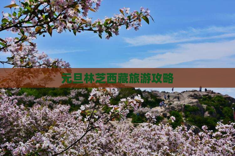 元旦到西藏林芝自由行