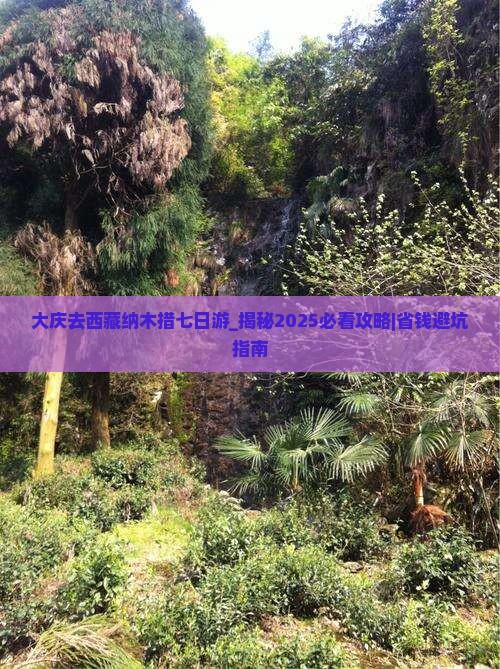 大庆去西藏纳木措七日游