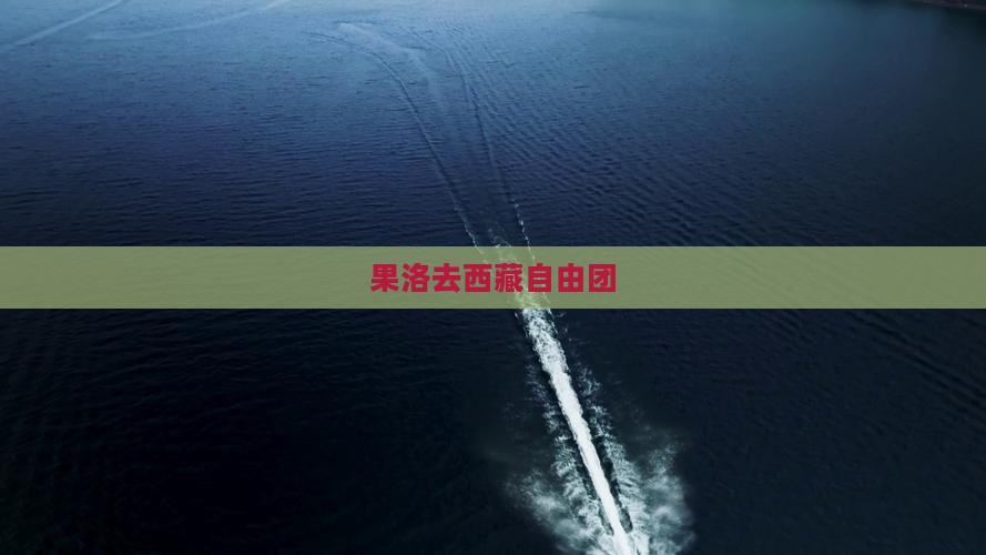 果洛去西藏自由团