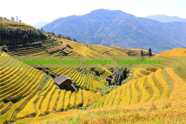 商洛到西藏林芝旅行社