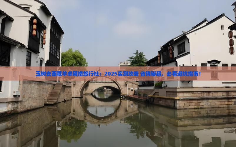 玉树去西藏羊卓雍措旅行社