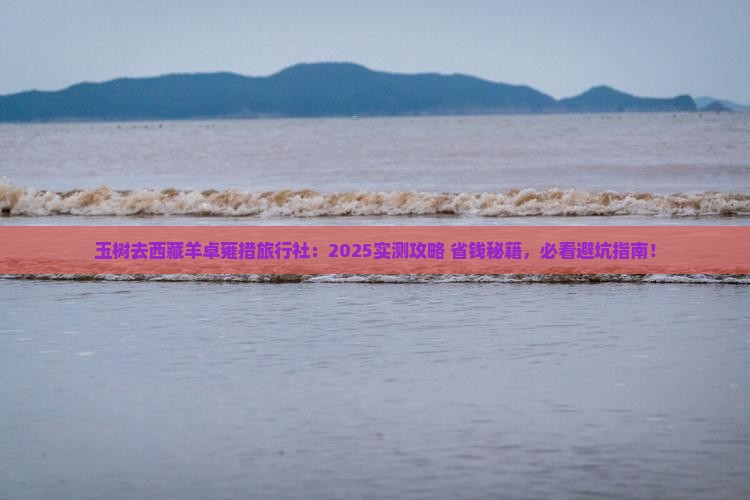 玉树去西藏羊卓雍措旅行社