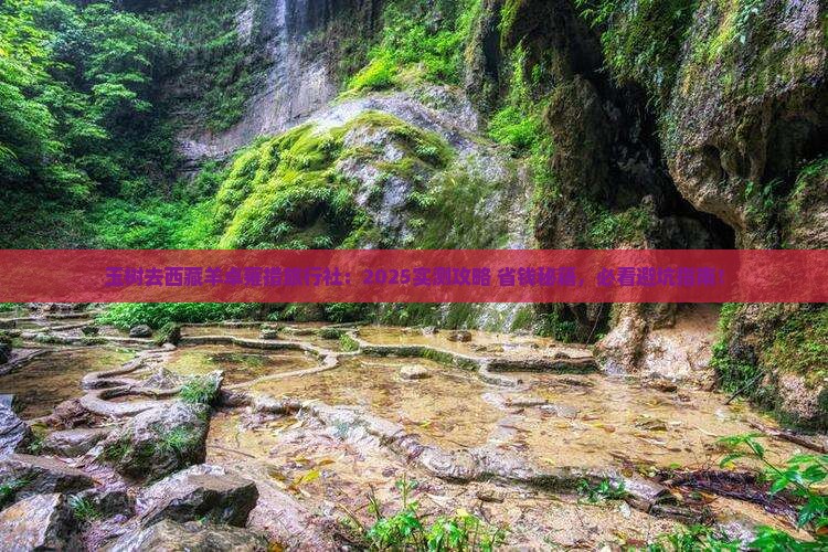 玉树去西藏羊卓雍措旅行社