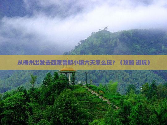 梅州去西藏鲁朗小镇六日游