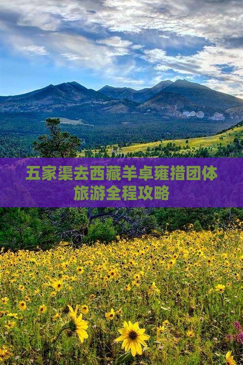 五家渠去西藏羊卓雍措团体旅游