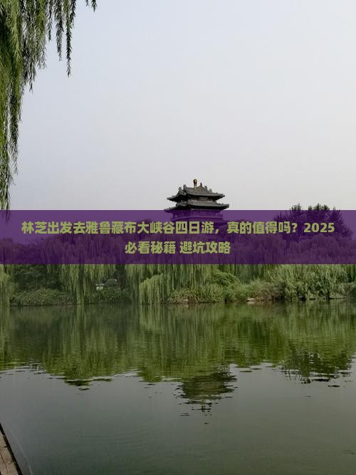 林芝去西藏雅鲁藏布大峡谷四日游