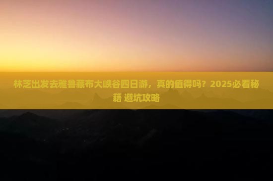 林芝去西藏雅鲁藏布大峡谷四日游