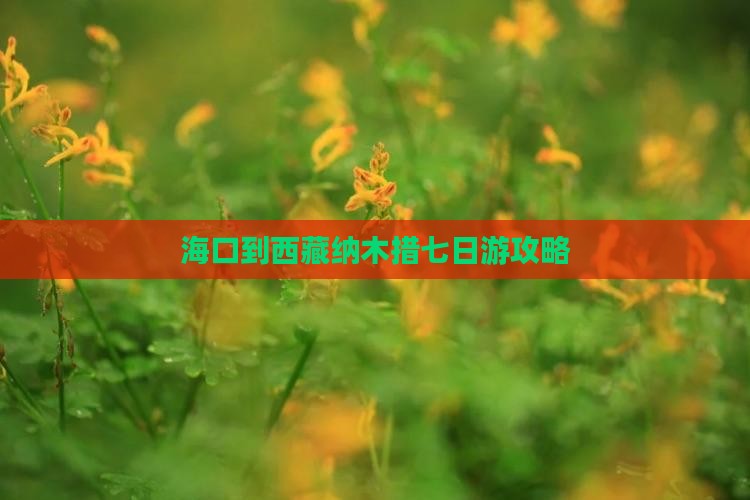 海口到西藏纳木措七日游