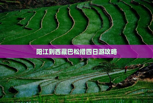 阳江到西藏巴松措四日游
