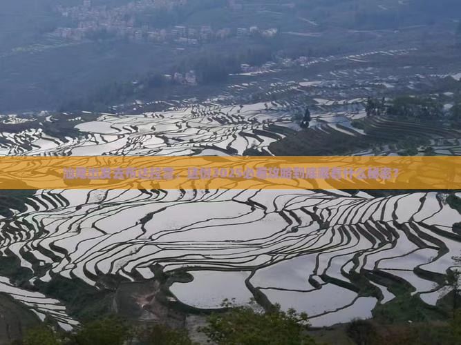 汕尾到西藏布达拉宫旅行社